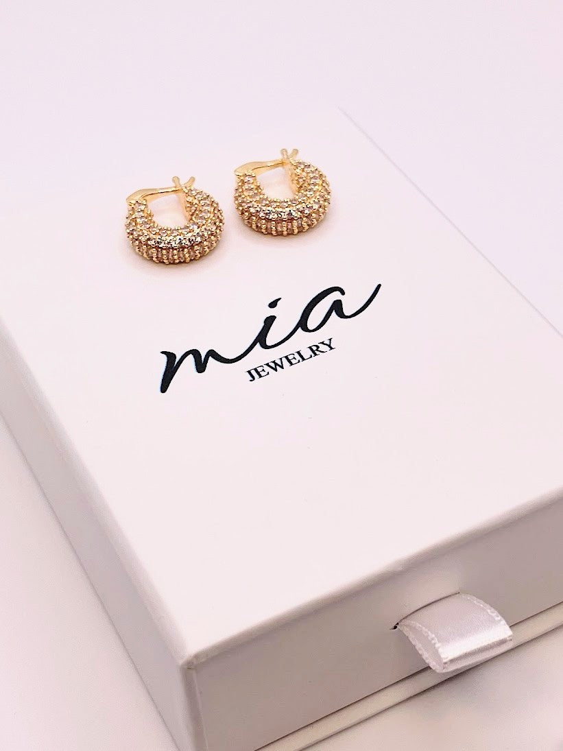 Capsule Earrings