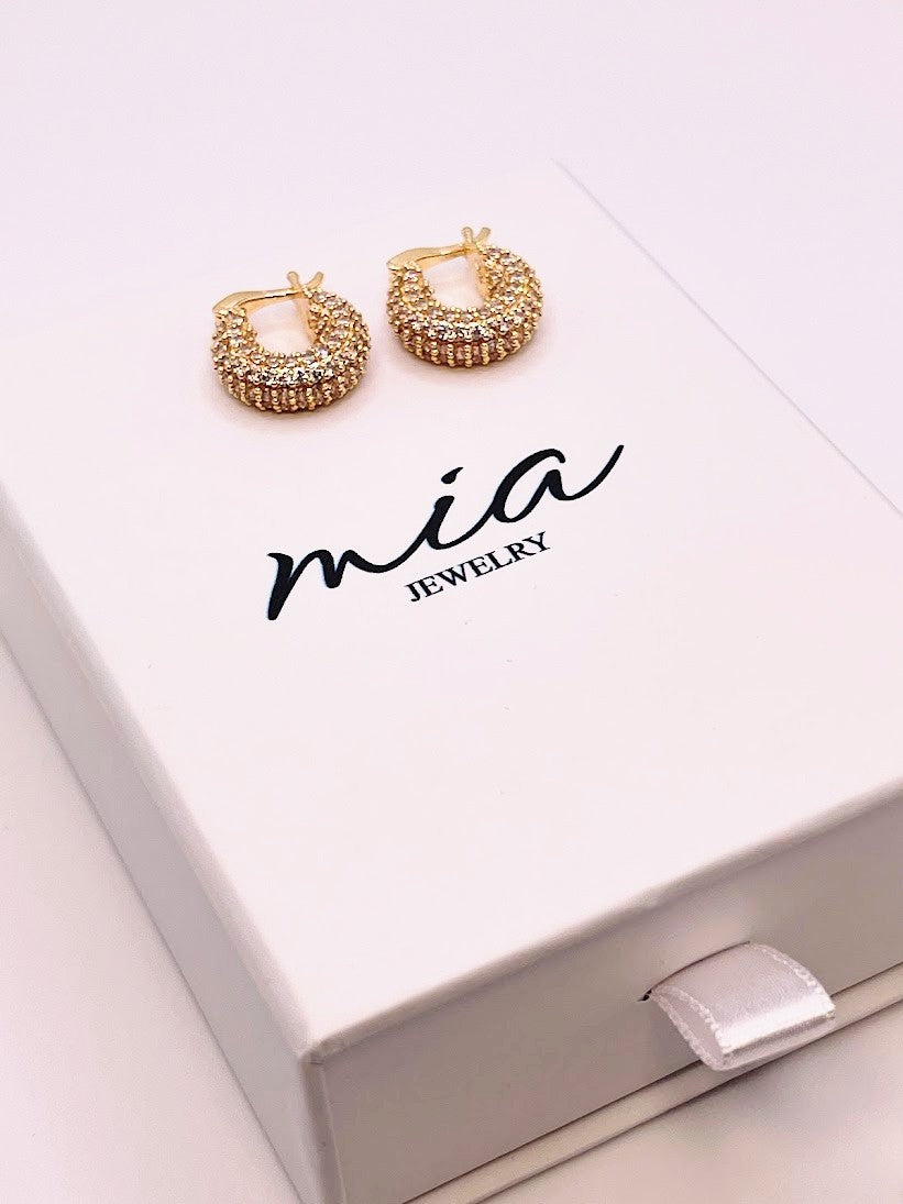 Capsule Earrings