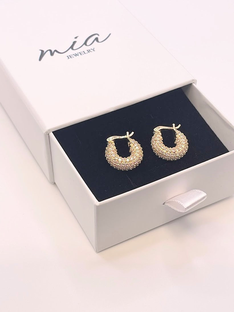 Capsule Earrings