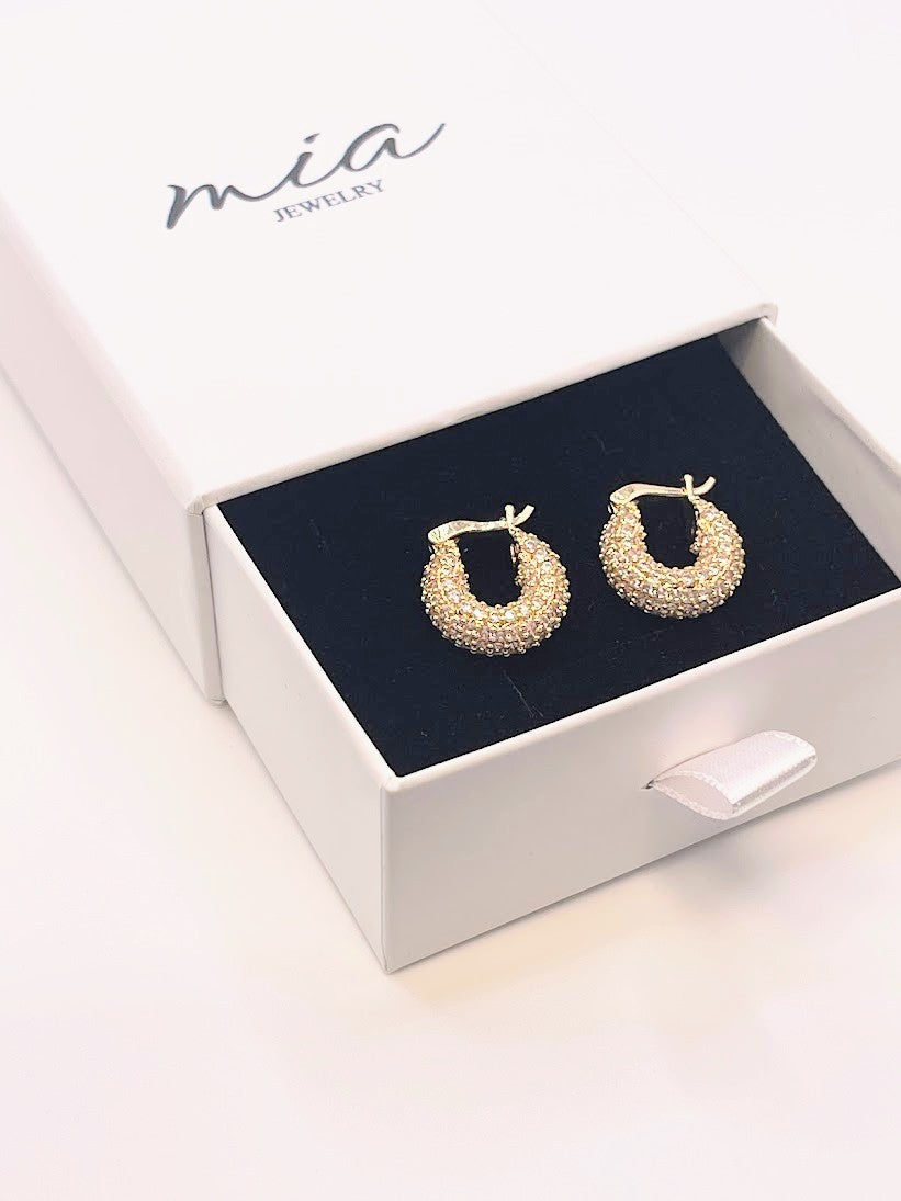 Capsule Earrings